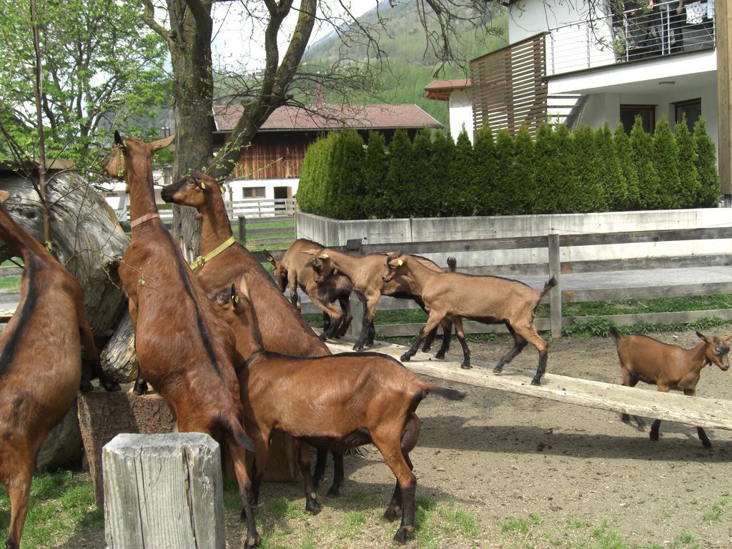 Bauernhof Kuen Villa Langenfeld Ngoại thất bức ảnh